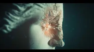 Cinema 4D Tutorial - Fractal Boole in Octane Render
