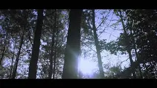Camp Ground After Effect