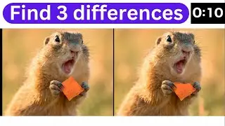 Find Difference Puzzle Video | Best Hard Puzzles #findthedifference #puzzlechallenge #puzzlegame