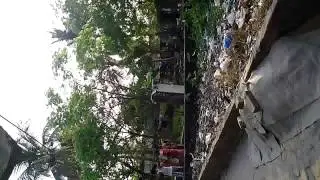 Bengali wife Abuse Man funny