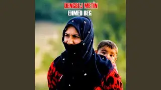 Ehmed Beg