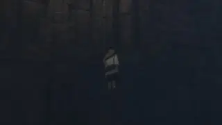 The Last Guardian Funny Glitch