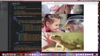 Creating A Single Page Site Bootstrap 4