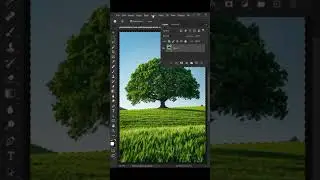 Remove or change Complex background in Photoshop Remove Complex background