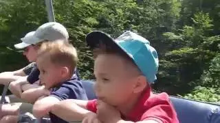 Роза Плато открытая канатка