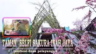Wisata terbaru dibatang hari | taman selfi sakura ina jaya