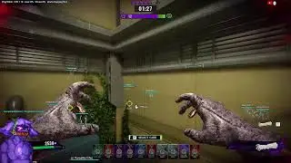 Broken Stream