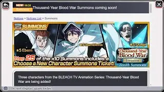 EOM TYBW Banner Filler Info Bleach Brave Souls