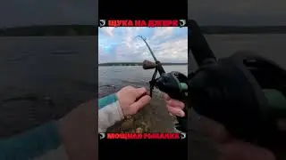 МОЩНАЯ РЫБАЛКА / ЩУКА НА ДЖЕРК  #bigfish #fishing #рыбалка