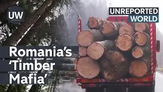 Romania’s Deadly 'Timber Mafia'  | Unreported World