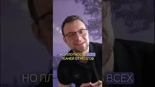 Что тяжелее – жир или мышцы