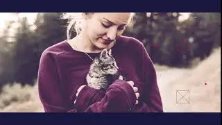 Fast Opener_14 | After Effects Template