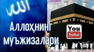Оллоҳнинг муъжизалари! Ollohning mo‘jizalari. Оллохнинг мужизалари