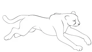 Cheetah Drawing Easy, How To Draw a Cheetah For Kids & Beginners Step By Step