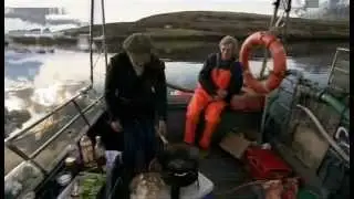Лангустины с овощами