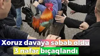 Lənkəranda xoruz davaya səbəb oldu - Bıçaqlananlar var