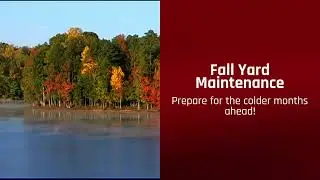 Fall Yard Maintenance Tips!