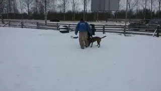 Ален(малинуй) сброс рукава