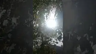 деревня
