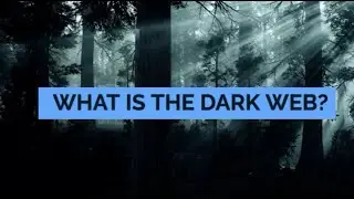 What is the Dark Web ?