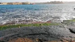 Malta Valeta GROŽIO M. 2019 M.