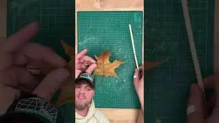 RESTORING A LEAF BACK TO LIFE BUT HOW ? 