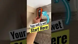 Quickly Find Water Leaks Inside Walls