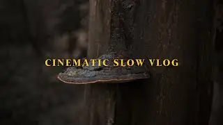 Silent Vlog (Hiking, Cooking, Plants, Coffee) - English Sub
