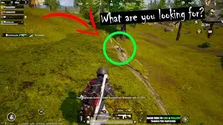 What are you looking for? 