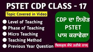 PSTET CDP - 17 | Pstet Paper 2 Preparation - Pstet New Notification 2023 - Pstet Punjabi Study Notes