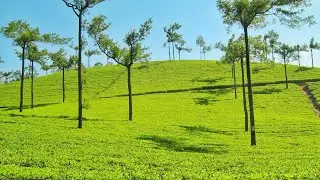 Munnar Gap Road