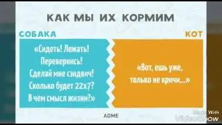 |кошки и собаки|