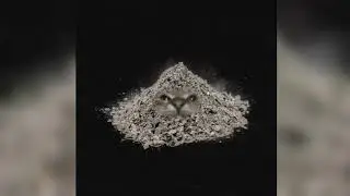Кит ты маму мав - Я ПЫЛЬ MORGENSHTERN