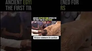 Grave Robbers In Action 