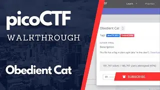 Obedient Cat