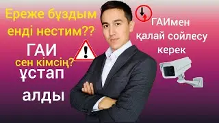 Жолда жүру ережесі. ГАИ тоқтатса нестеу керек. 