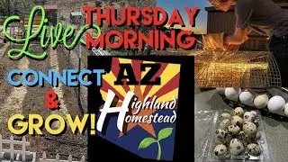 Live from AZ! Connect & Grow: Coffee with Nick & Friends