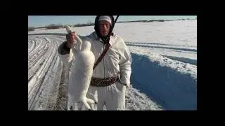 Охота на зайца! С Рождеством Вас!