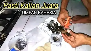 Sadistic Every Day Champion Continues All Opponents Sampe Bengong, Galatama catfish