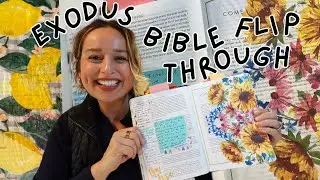 Bible Journaling | Read through EXODUS with me!