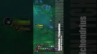 Amphibian #ShimmeringtreasurePool #shorts t #worldofwarcraft #gaming #games #BMHunter