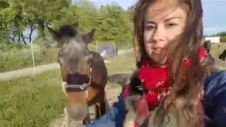 Let's make a rope halter ourselves // ВЕРЕВОЧНЫЙ НЕДОУЗДОК СДЕЛАЕМ САМИ