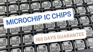 Microchip IC Chips