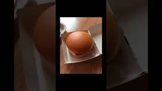 Perfect satisfying photos 
