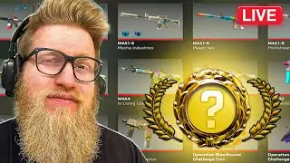 🔴WTF HAPPENED TO SKINS. REVIEWING MY INVENTORY | fl0m.com for LAN
