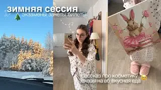 первая сессия в меде, сдача экзаменов, картины по номерам, планы на этот год