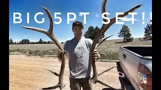 SHED HUNTING | BIG SET!! | Wildest Dreams Tv