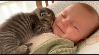 5 Minutes of Pure Baby & Kitten Cuddles 🐱👶❤️