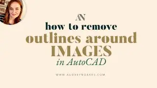 How to remove outlines around images in AutoCAD