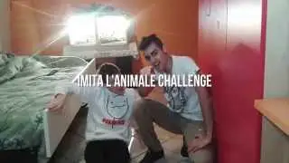 IMITA L'ANIMALE CHALLENGE Epico By SimoPlay99